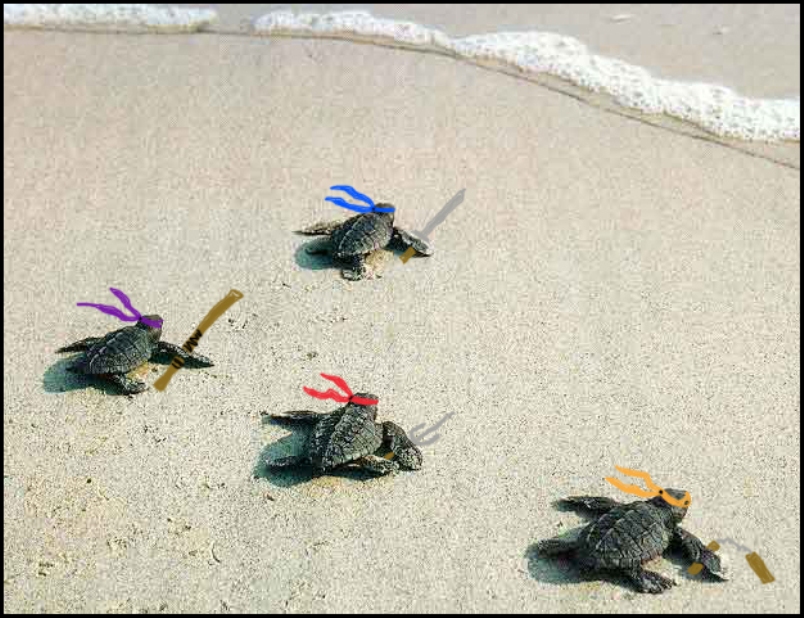 tmnt-beach-myconfinedspace